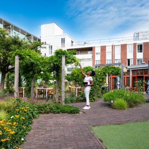 tuin de klinker
