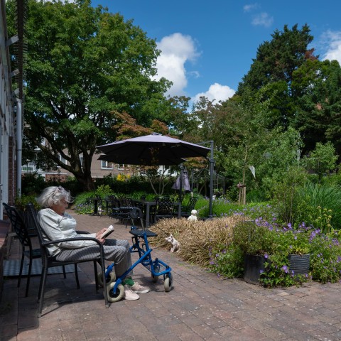 de tuin van de Bogt