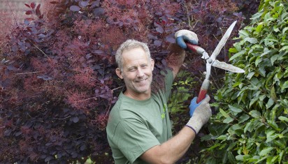 snoeiende tuinman